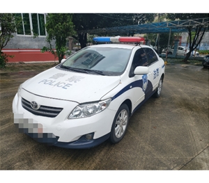 豐田牌小型新車評估成功案例